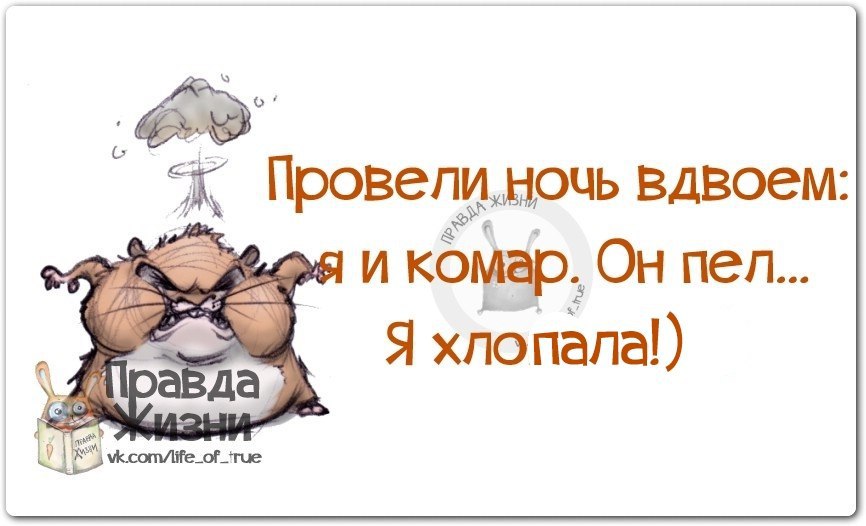 Ржачные картинки с надписями про жизнь со смыслом