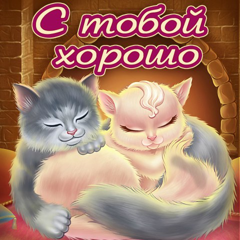 Мой котенок картинки мужчине