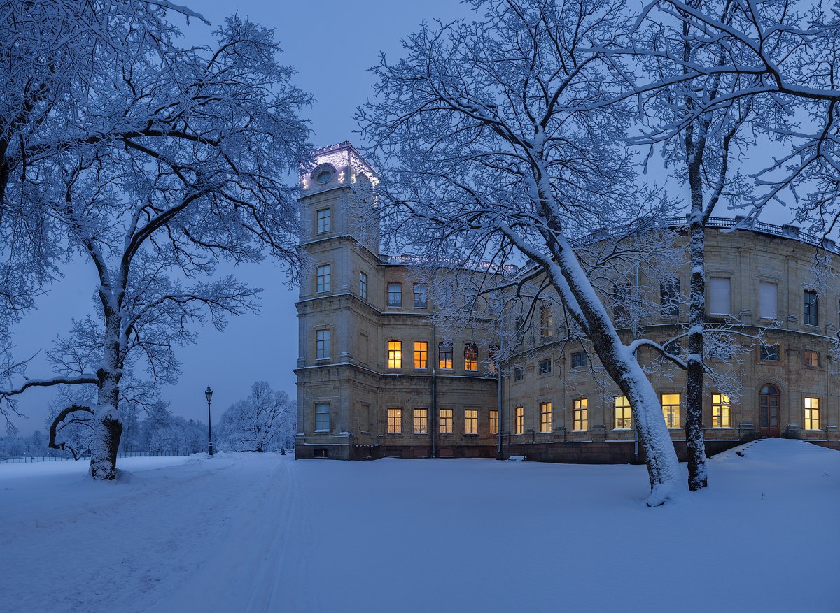 гатчинский парк зимой