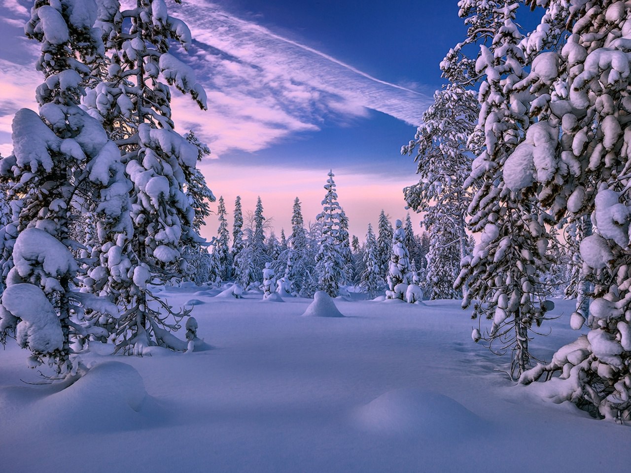 Прекрасные мгновения зимы