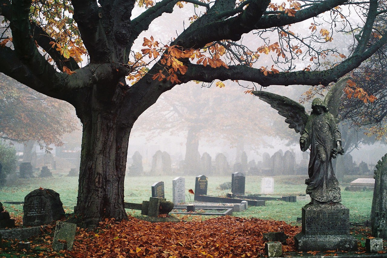 Красивое кладбище осенью