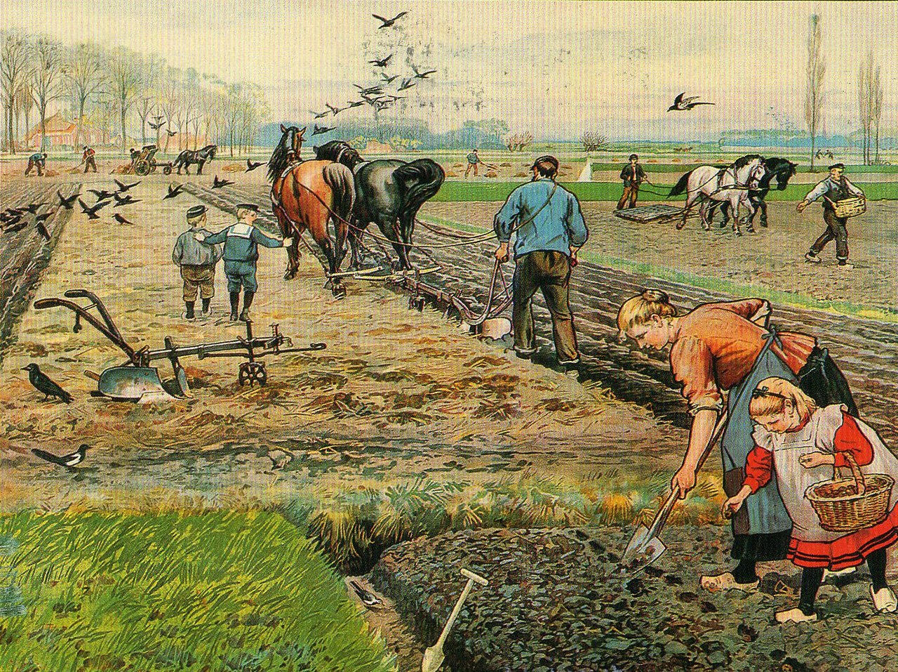 Огород крестьян