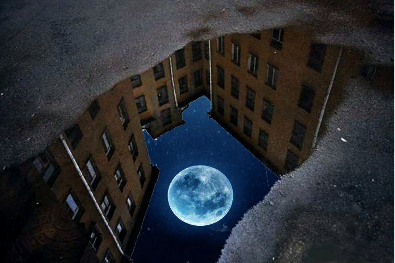 Отражение Луны в луже
