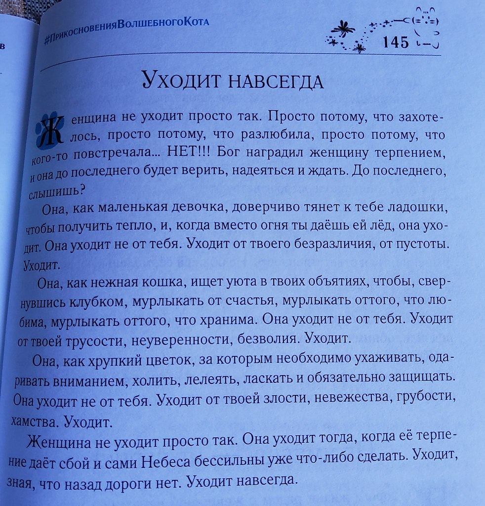 Владимир Гаджиев отрывок из книги прикосновения волшебного кота