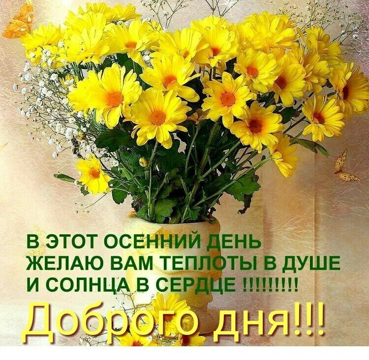 Фото С Пожеланиями Отличного Дня
