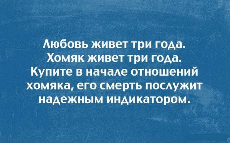 Смешные картинки с надписями про отношения между мужчиной и женщиной