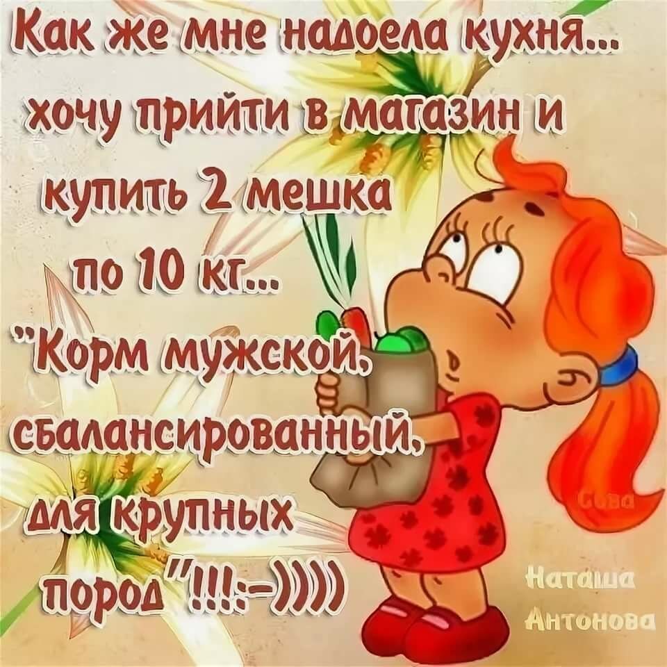 юмор каждый день