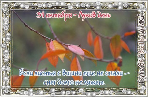 Трифон И Пелагея 21 Октября Картинки Поздравления