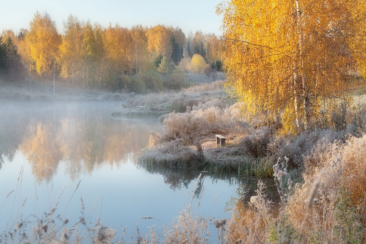 доброе утро россия красивые виды осень фото