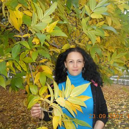 , 40 , 