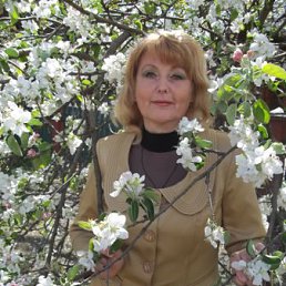 , 62 , 