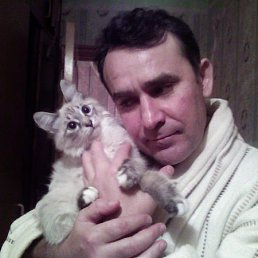 Владимир, 52 года, Чебоксары