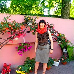 , 53 , 