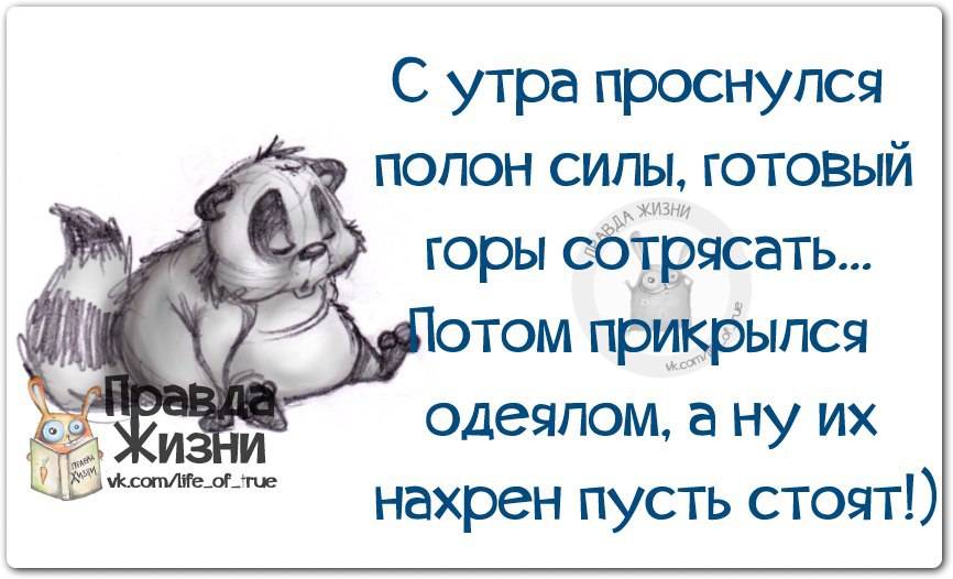 С утра хотела свернуть горы в обед решила пусть стоят картинки прикольные