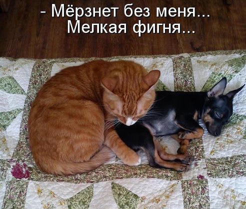 Открытка замерзаю без тебя