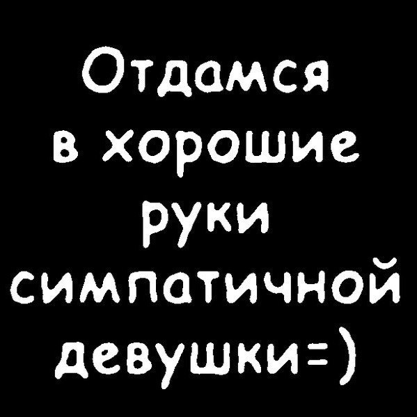 Отдамся в хорошие руки картинки прикольные