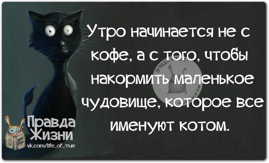 Правда жизни картинки с надписями прикольные новые