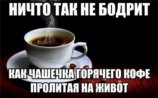 Взбодрись картинки прикольные, картинки днем