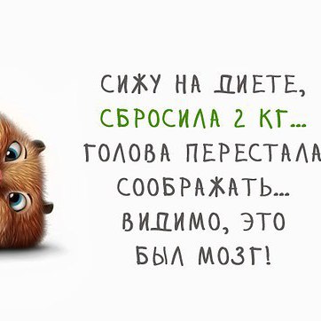 Сбрось 2. Сижу на диете видимо это был мозг. Сижу на диете сбросила 2 кг голова. Сижу на диете сбросила 2 килограмма голова перестала. Голова перестала соображать.