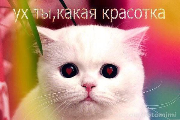 Какая красавица картинки с надписями