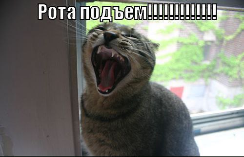 Смешная картинка подъем