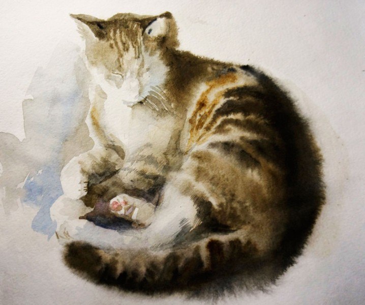 Как нарисовать котенка акварелью