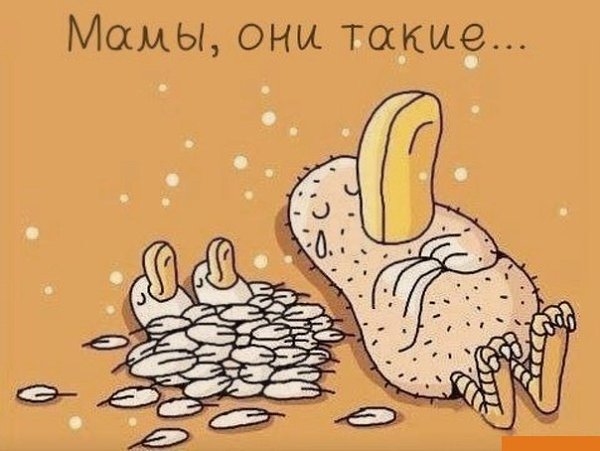 Прикольные картинки для мамы с надписями