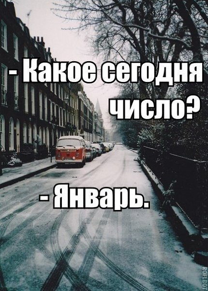 Прикольные картинки 5 января, розы