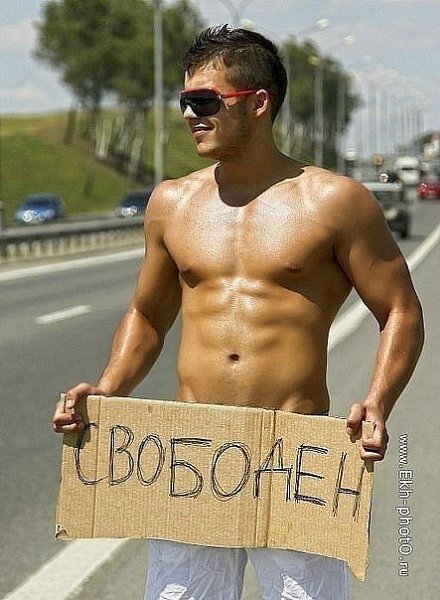 Я свободен картинка прикол