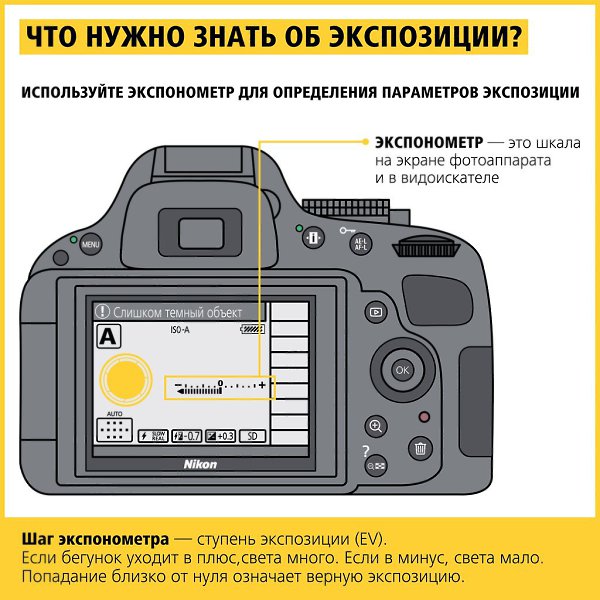 как искать клиентов начинающему фотографу розы