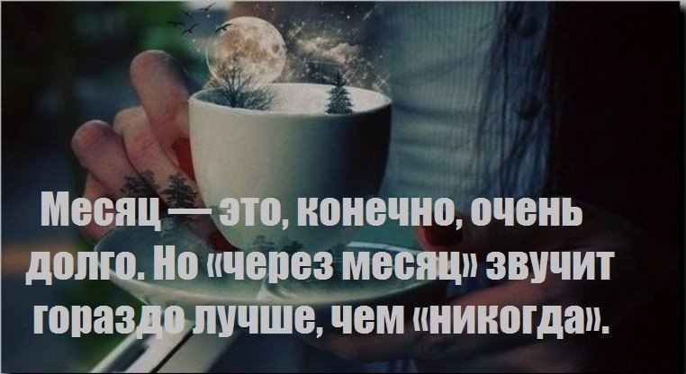 Конечно слишком. Месяц это конечно долго. 20 Цитат Макса Фрая, дарящих веру в чудеса. Месяц это конечно очень долго, но через месяц. Через месяц звучит гораздо лучше чем никогда.