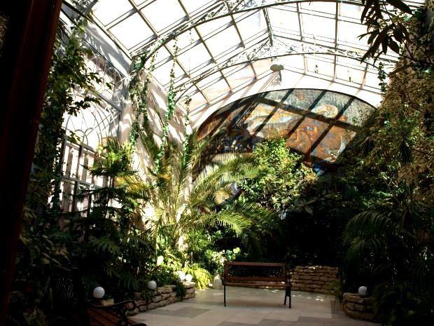 Зимний сад во дворце