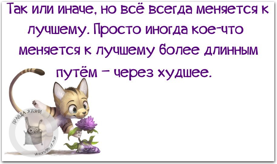 А жизнь то налаживается все будет хорошо картинки