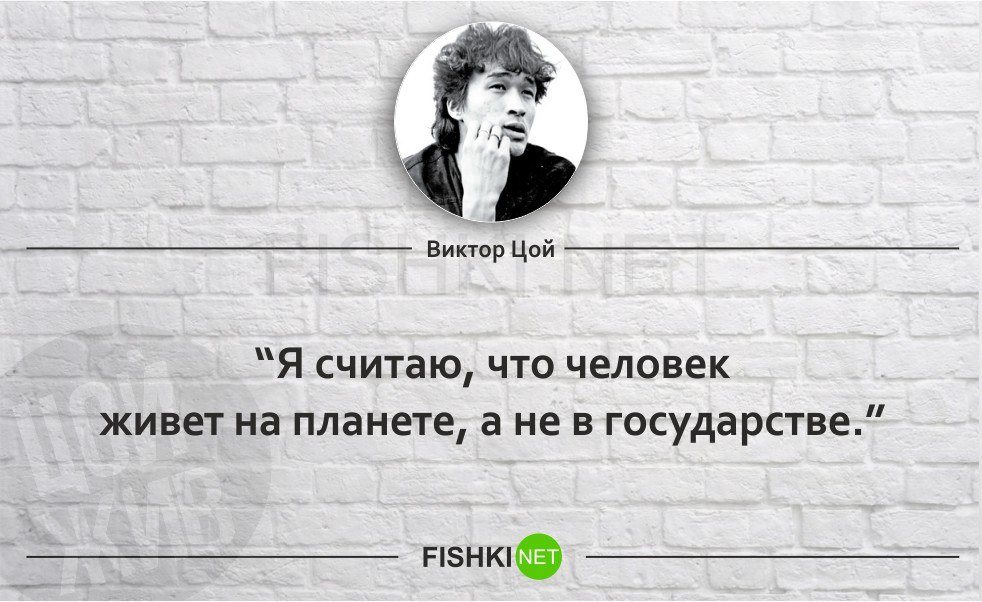 Цой на проекте голос