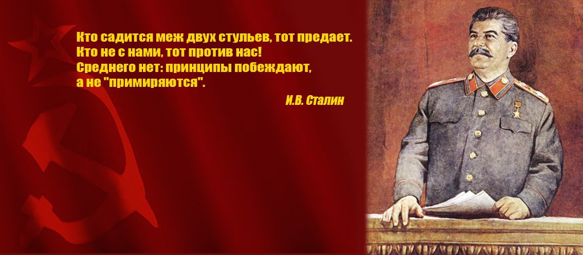 Критиковал сталина