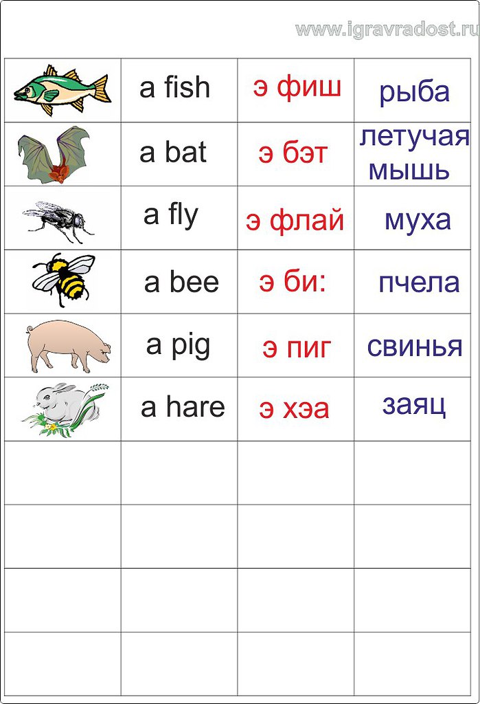 Учим английский язык в картинках