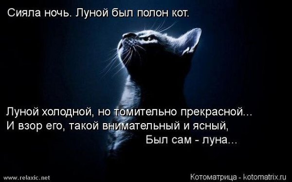 фотографиями луна стихи цитаты нашем кулинарном
