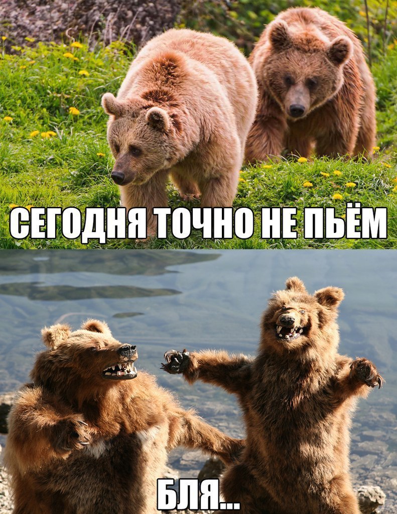 Пить будем смешные картинки, днем ангела