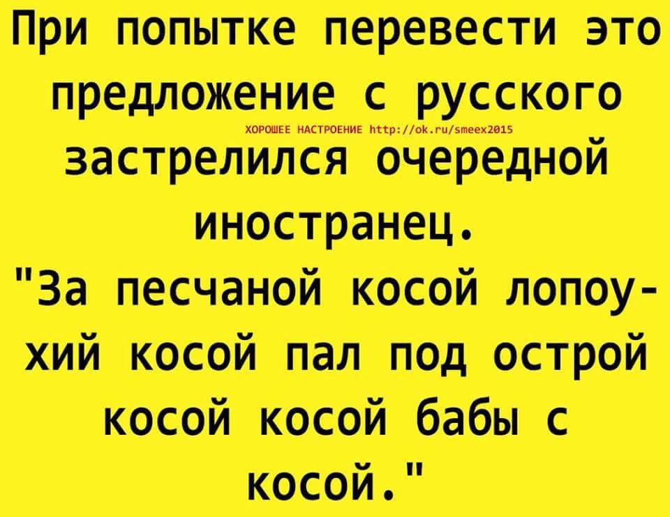 Проект на тему язык и юмор 6 класс