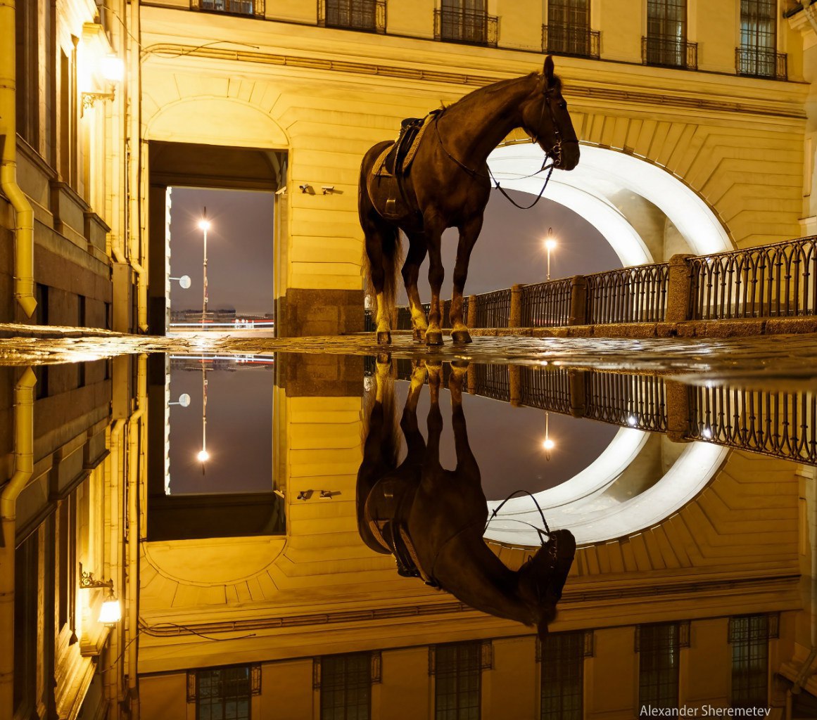 Дворцовая площадь в Санкт-Петербурге кони