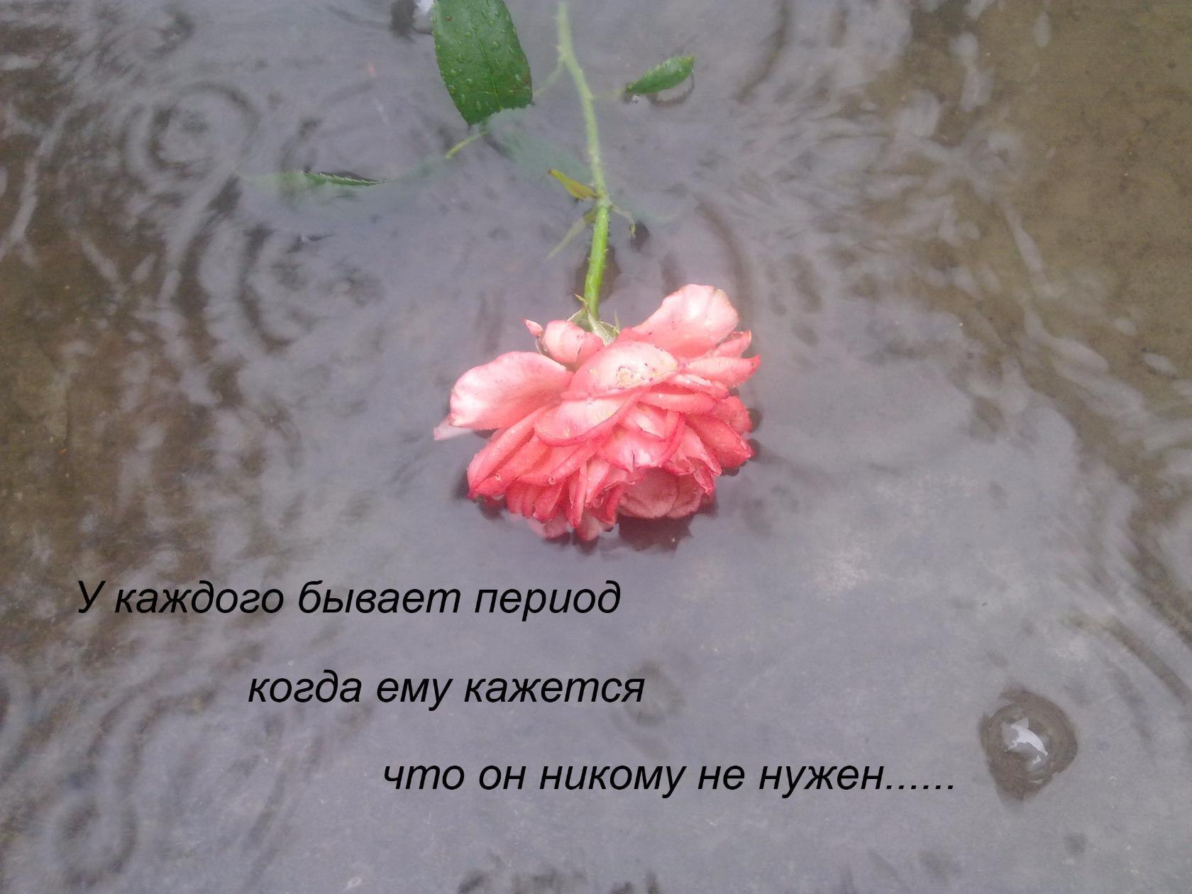 В жизни как под дождем наступает момент когда уже просто все равно картинки