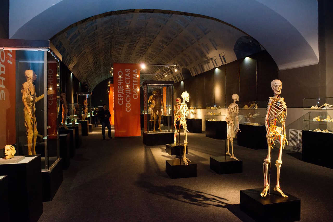 Музей-выставка тело человека