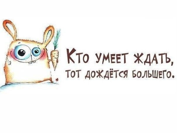 Львятами, открытка я подожду