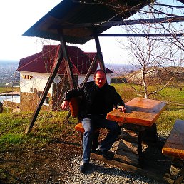 , 52 , 