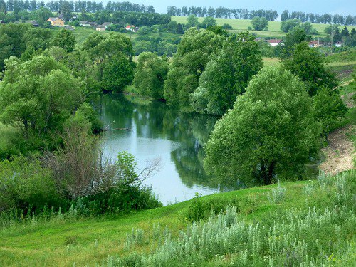 Мансуровский парк новодеревеньковский район фото