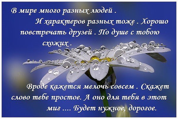 Короны, открытка с пожеланиями поддержки