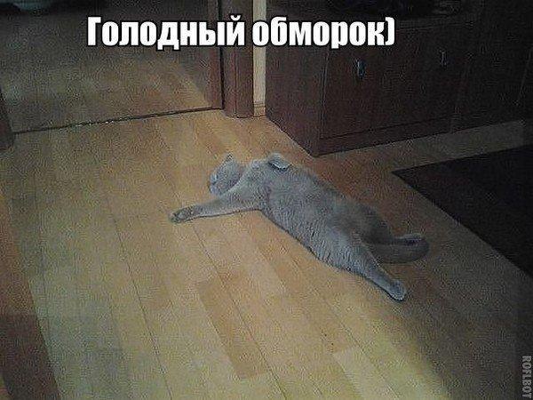 Картинки обморок смешные