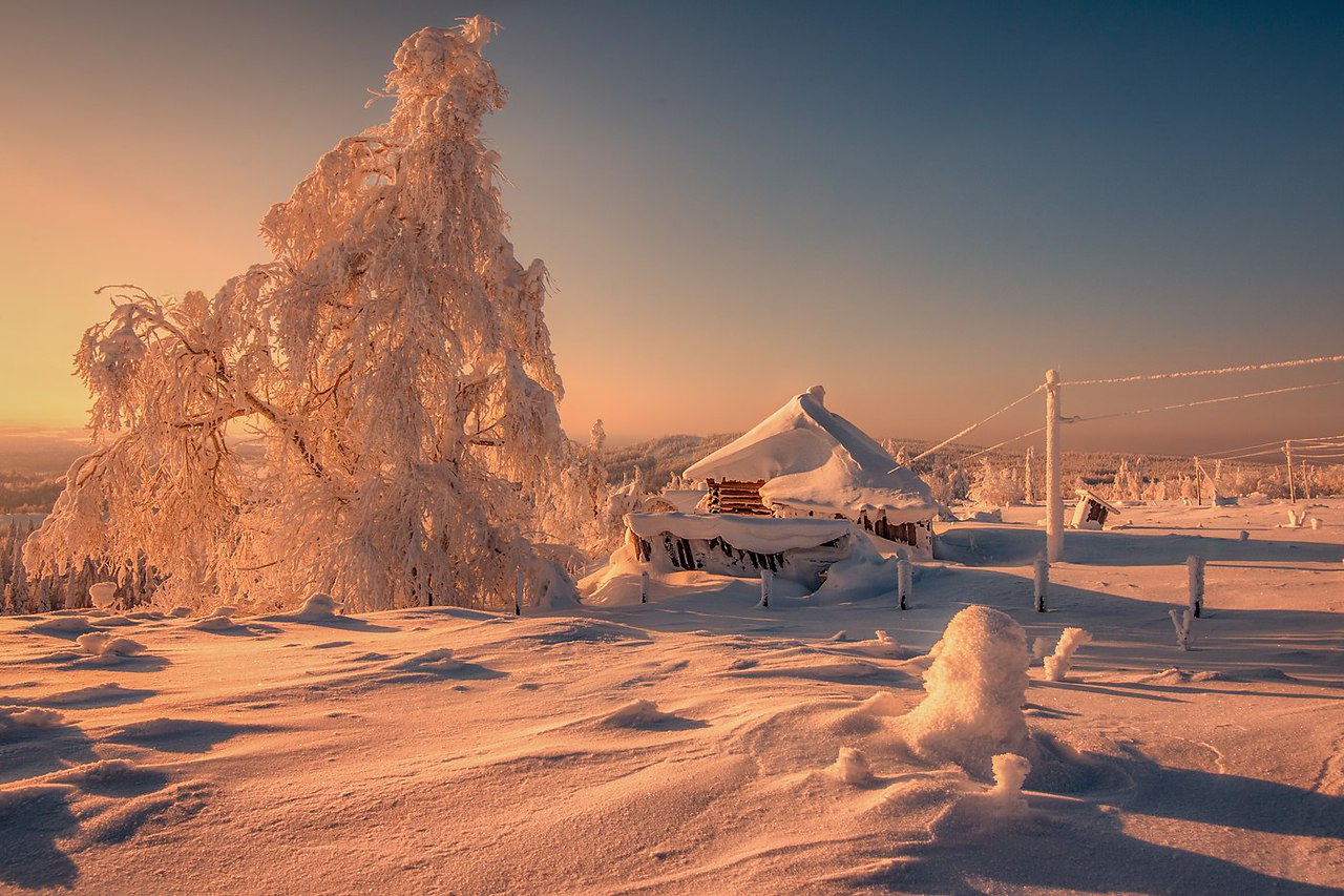 Снежное Утро Красивые Фото