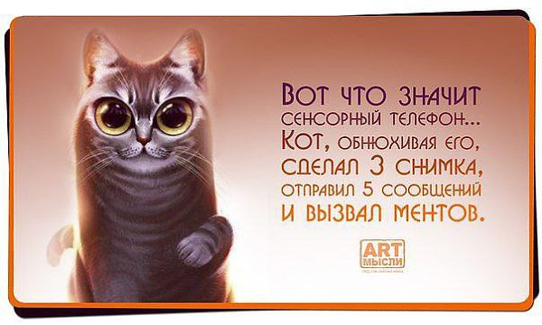 Прикольные цитаты и афоризмы в картинках на телефон, сделать открытку