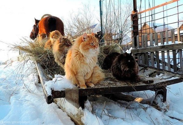 Едем, едем в соседнее село...на дискотеку...